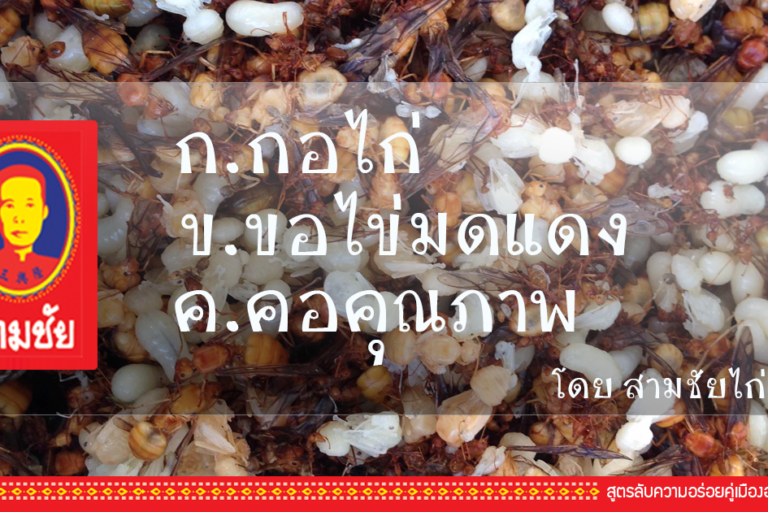 ไข่มดแดง